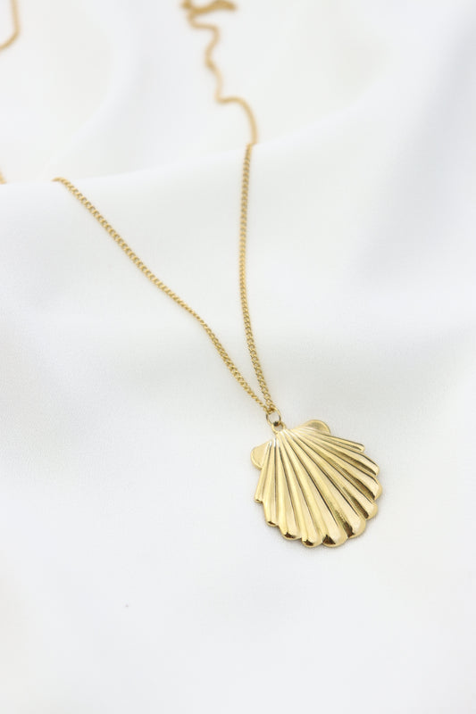 Shell